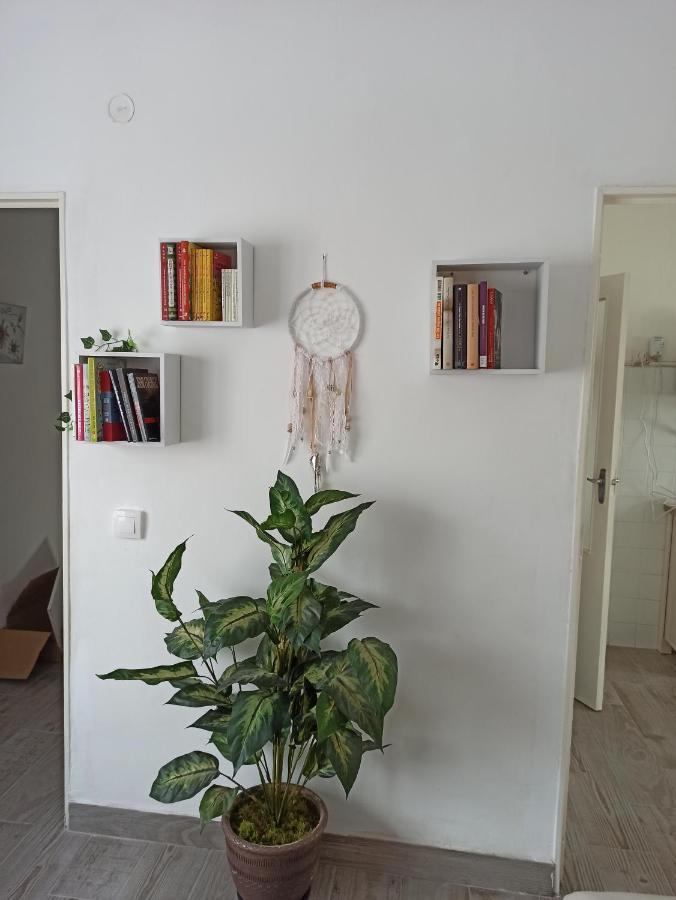 Apartamento Elizondo Giltxaurdi Eksteriør bilde